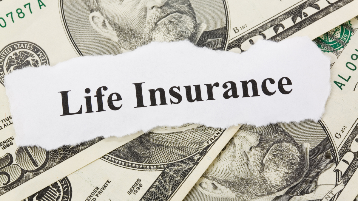 High-yield life insurance stocks guide. 7 mid & small-cap insurers: FG, CNO, BHF with growth potential. Yields, risks & turnaround opportunities.